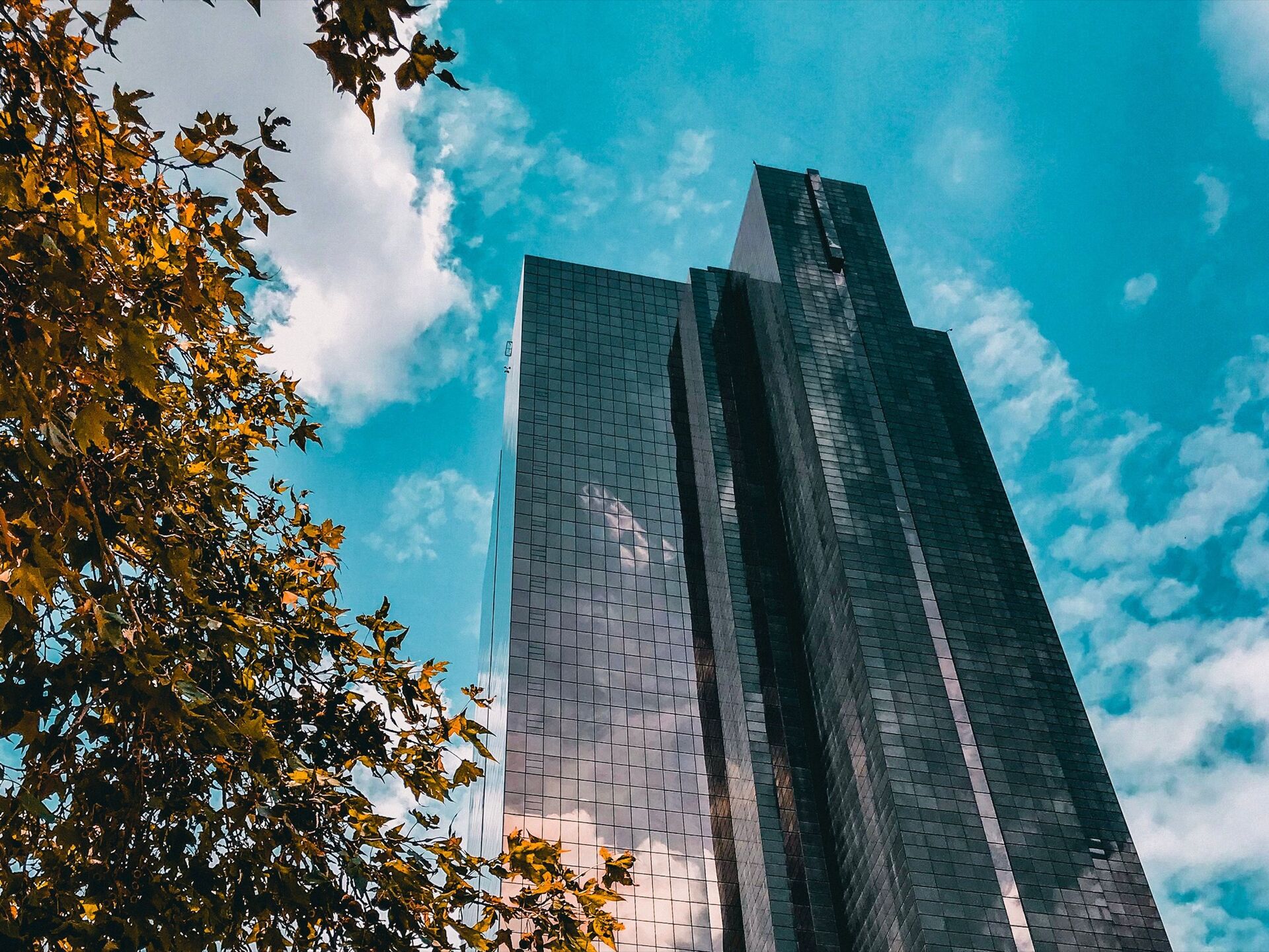 Corporate Financial Advisory